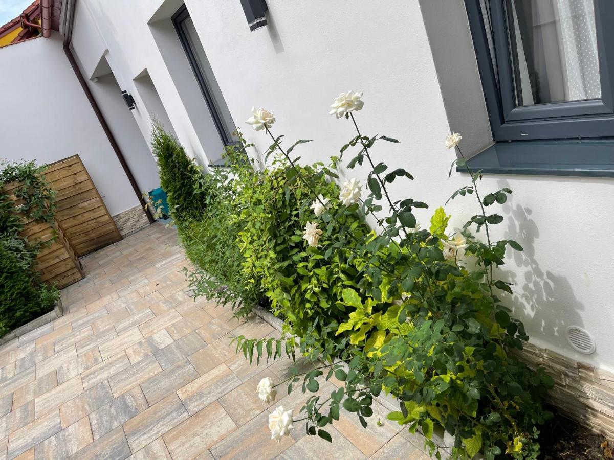 Mani Studio Sibiu Exterior foto